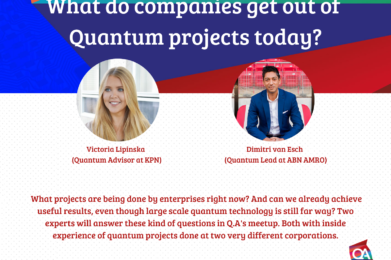 What do companies get out of Quantum projects today BANNER WEBSITE